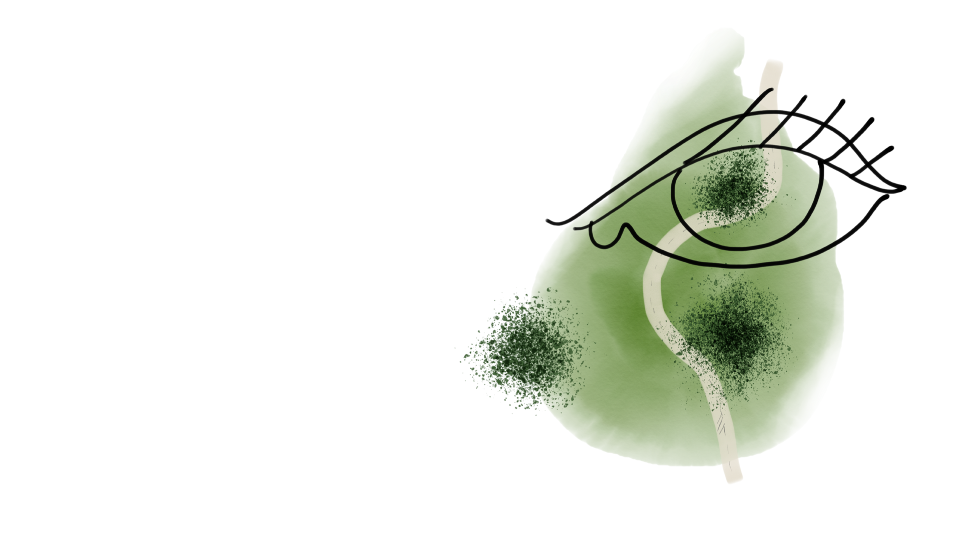 costruzione del giardino