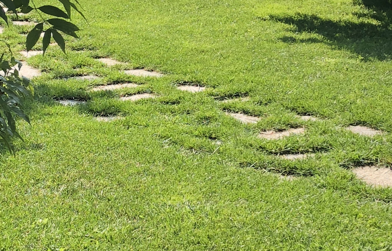 giardino per le aziende
