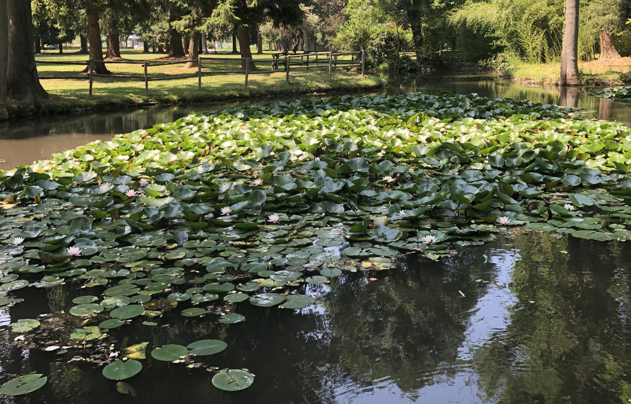 restauro del giardino