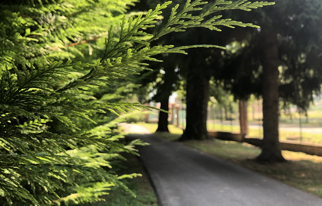 giardino per le aziende