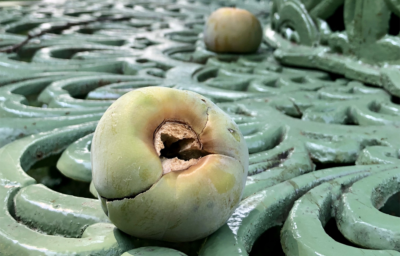 giardino privato