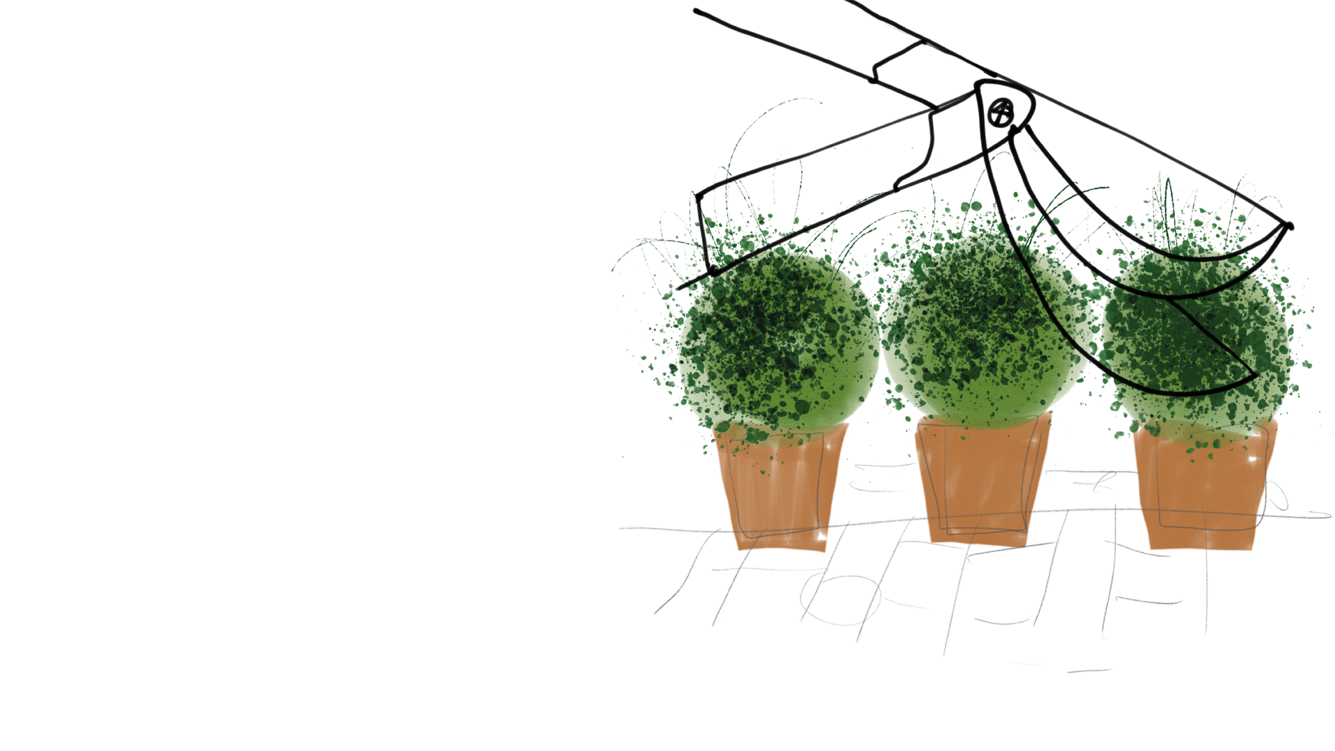 costruzione del giardino