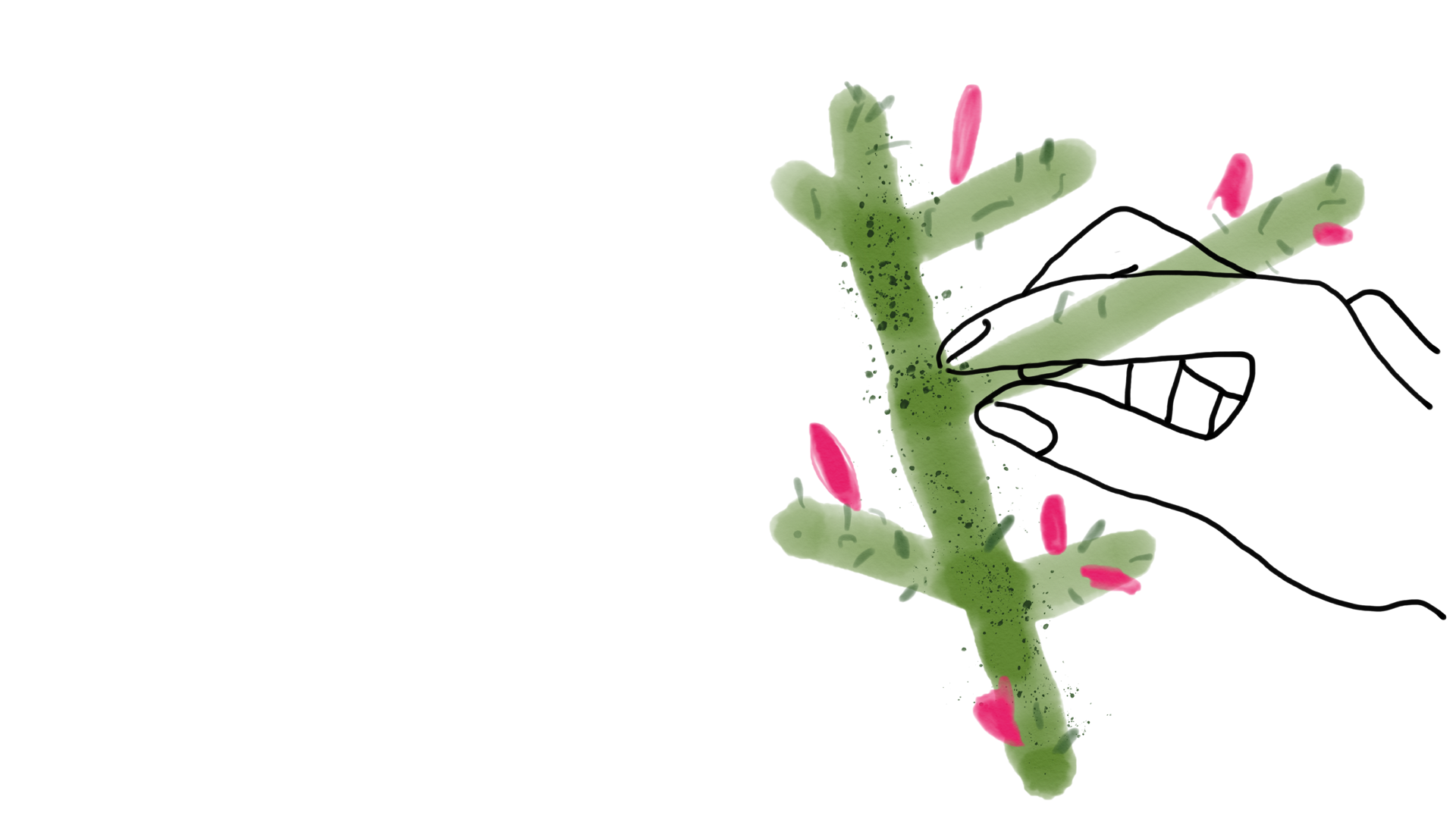 costruzione del giardino